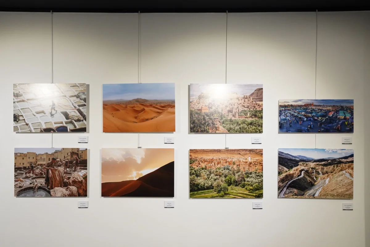 Beylikdüzü Belediyesi İFSAK Sergisine Ev Sahipliği Yapıyor