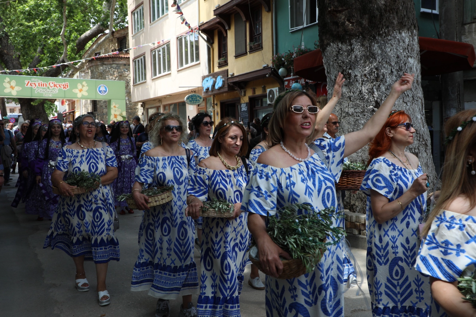 Tirilye'de Zeytin Çiçeği Festivali Coştu

