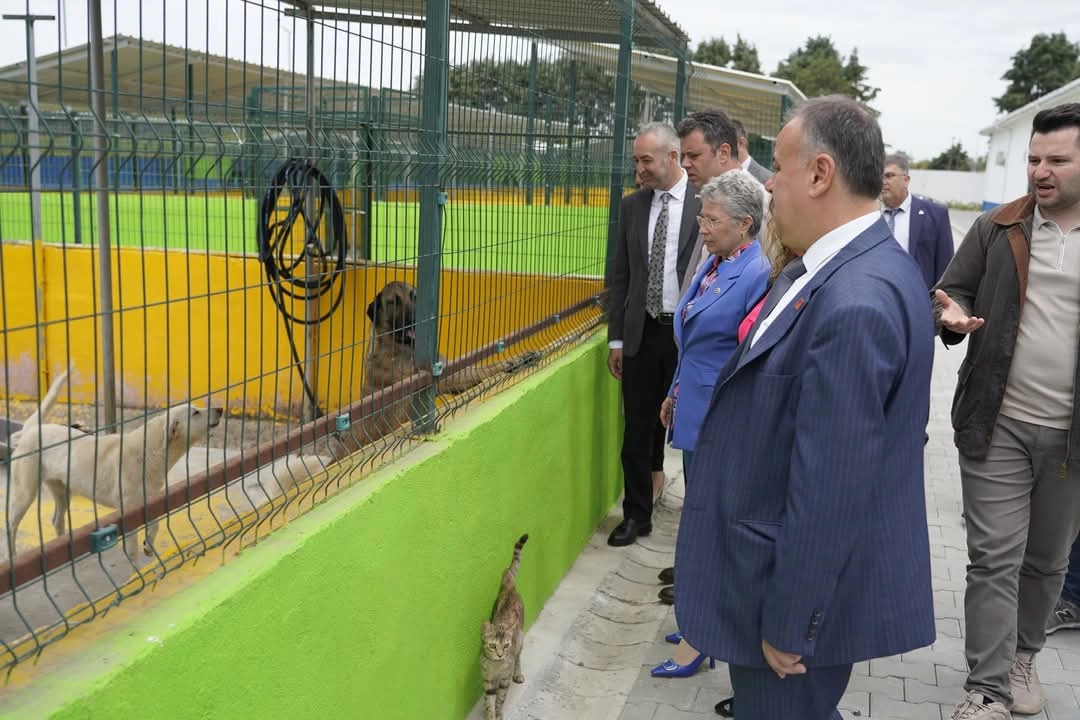 Yontar'dan Çorlu Hayvan Barınağı'na Ziyaret
