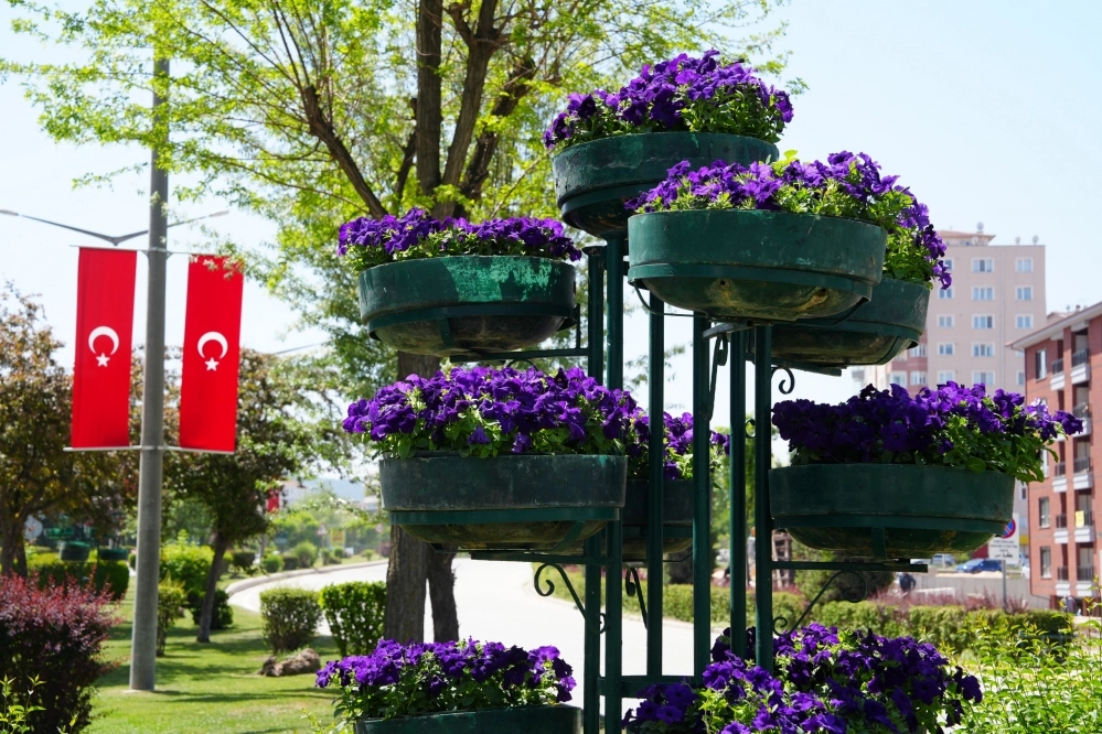 Eskişehir Refüjleri Çiçeklerle Renklendi
