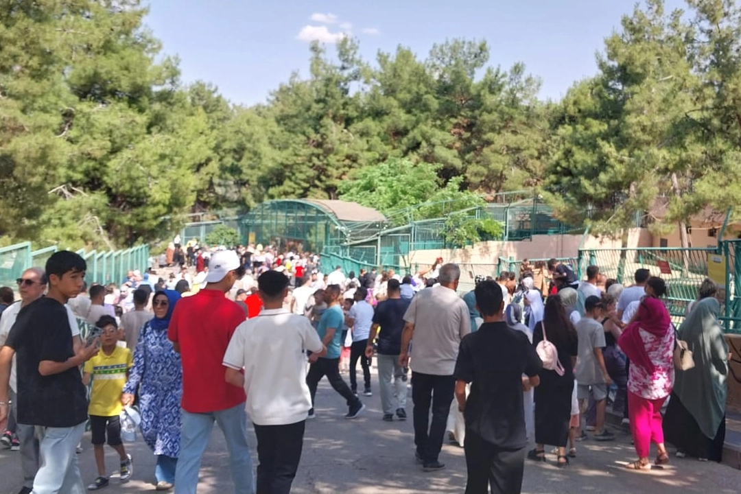 Gaziantep Doğal Yaşam Parkı'na Bayram Akını
