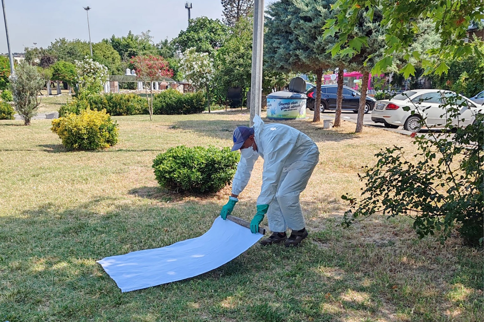 İstanbul'da Kene Mücadelesi Başarılı: Vakalar Azaldı
