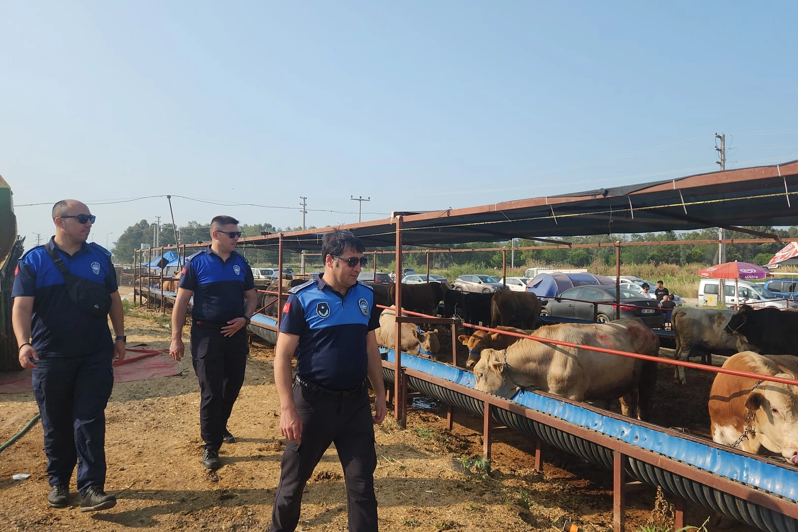 Çiğli'de Kurbanlık Denetimi Sıkılaştı
