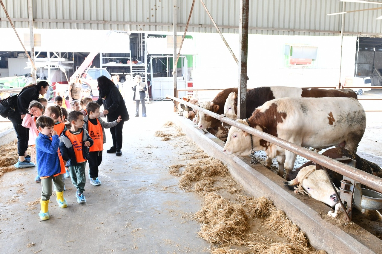Çiğli'de Çocuklar Hayvanlarla Buluştu
