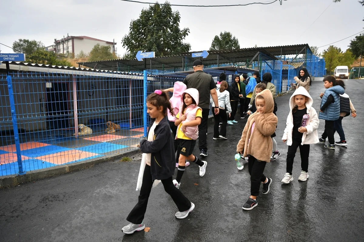 Beylikdüzü Öğrencilerinden Can Dostlara Anlamlı Dokunuş