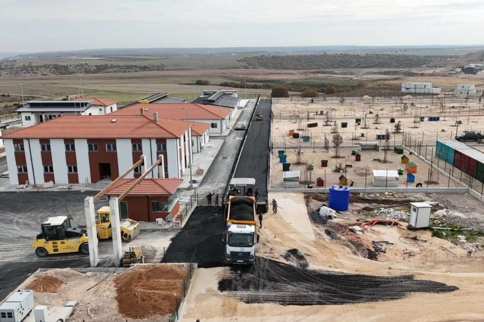 Eskişehir'de hayvan barınağında sona yaklaşılıyor