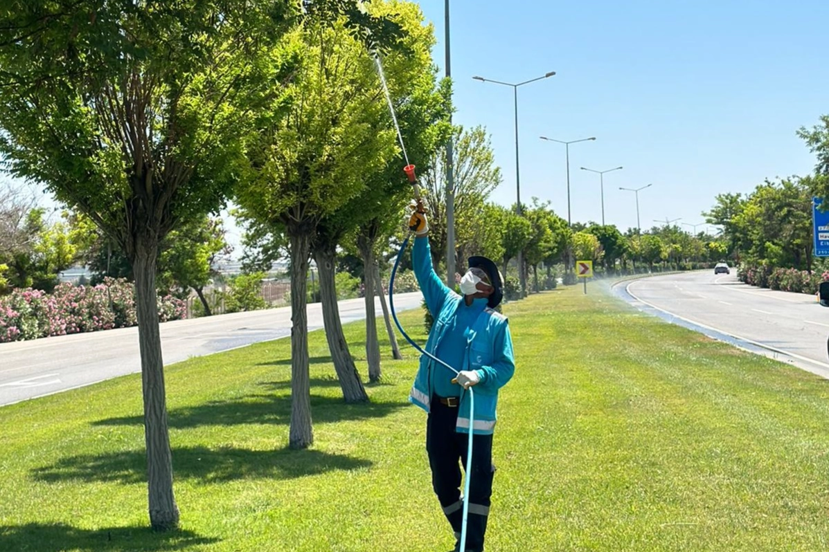 Gaziantep’te yoğun ilaçlama seferberliği